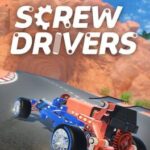 Screw Drivers