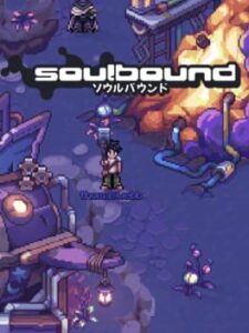 Soulbound: Online