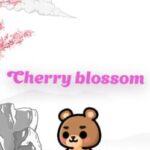 Cherry Blossom