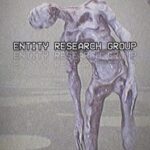 Entity Research Group