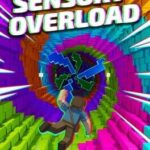 Sensory Overload