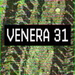 Venera 31