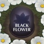 Black Flower