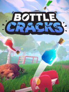 Bottle Cracks