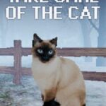 Take Care Of The Cat