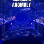 Aquarium Anomaly