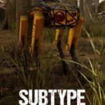 Subtype Grounds