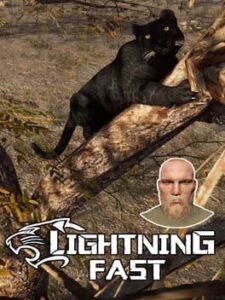 Lightning Fast