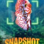 Snapshot Aquarium