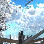 Catsploration