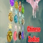 ChineseZodiac