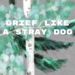 Grief Like a Stray Dog