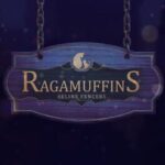 Ragamuffins: Feline Fencers