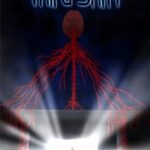 The Third Shift