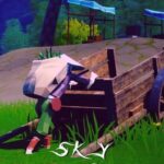 Sky Traveler