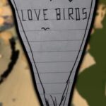 Love Birds