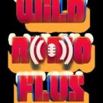 Wild Radio Flux