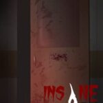 Insane Escape