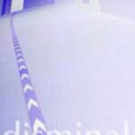 Disminal