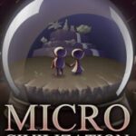 Microcivilization