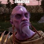 Castle Guardian