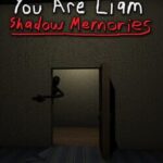 You Are Liam: Shadow Memories