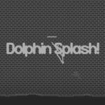 Dolphin Splash!