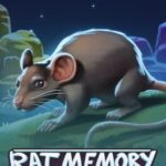 Rat Memory