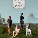 Player Non Player