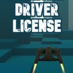 Spaceship Driver License