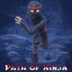 Path of Ninja