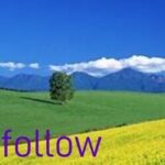Follow Dream