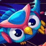 Bicolor Bird