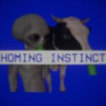 Homing Instinct
