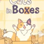Cats in Boxes