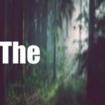 Escape The Forest