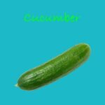Cucumber