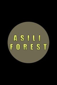 Asili Forest
