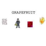 Grapefruit