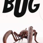 Bug