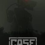 Case: Online