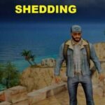 Load Shedding