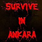 Survive In Ankara