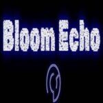 Bloom Echo