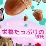 Eiyou Tappuri no Kareshi