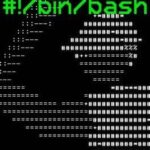#!/Bin/Bash