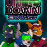 Unit Down Charge
