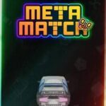 Meta Match