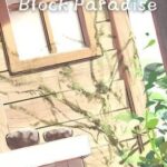 Block Paradise