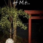 The 9th Station of M.t...